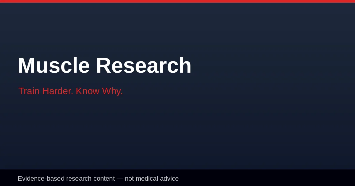 About Muscle Research