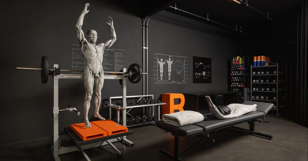 The Role of Cortisol in Muscle Catabolism and Recovery